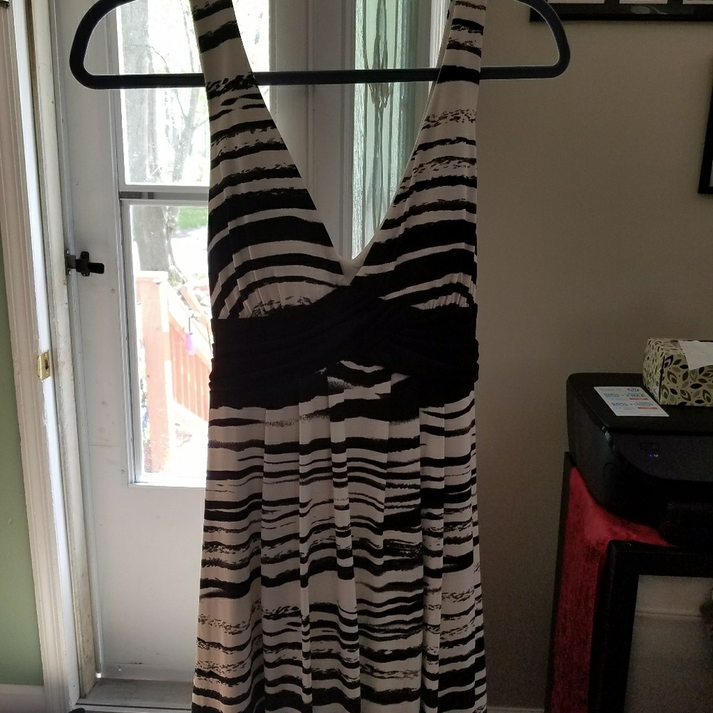 Zebra dress